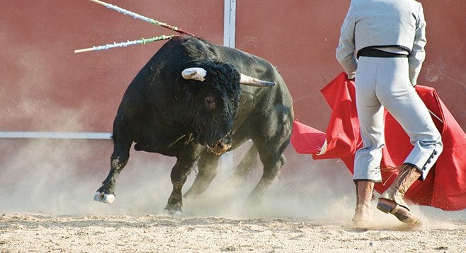 Spanish-style bullfighting is illegal in California. So animal rights activists want to shut down a bullfighting school headquartered in San Diego.