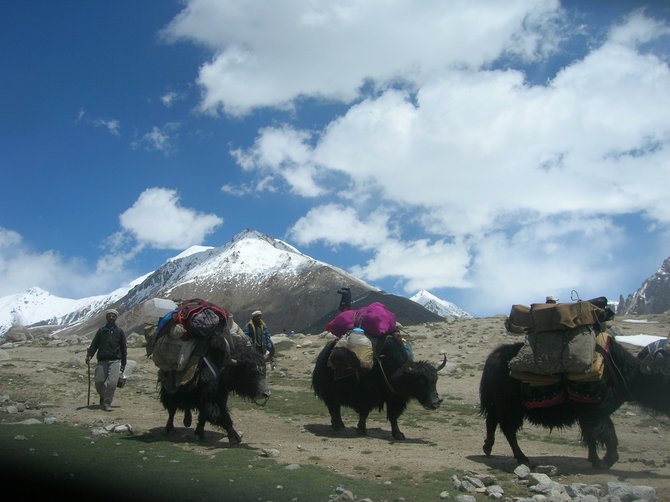 During Kuch festival, don't miss to attend this unique festival. every years this festival is celebrated with zeal and zest in the month of June and October  in shimshal pass, karakorum Pakistan. 