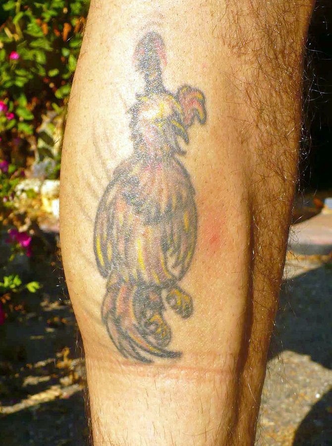 I got this tattoo in the late '90's at American Tattoo when they had a shop in Bonsall, Ca. I've been wanting to get it for a while, then I finally got it.
When people start talking about tattoos, I show this one. They don't seem to understand it, so I explain that it's a rooster hanging from a loose. Then I hit'em saying that "I have a cock that hangs below my knee"! They bust out laughing. To bad I don't drink, I would win a bunch of beer bets! I always ask myself that if I wear shorts out in public, would I get arrested for animal cruelty or for indecent exposure?
