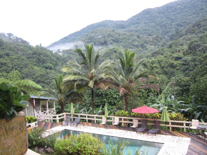 Casa Grande swimming pool, surrounding jungle...