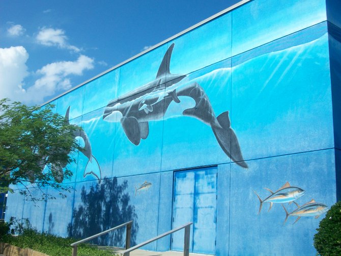 South Padre Island's "Whaling Wall," located near the Convention Center.