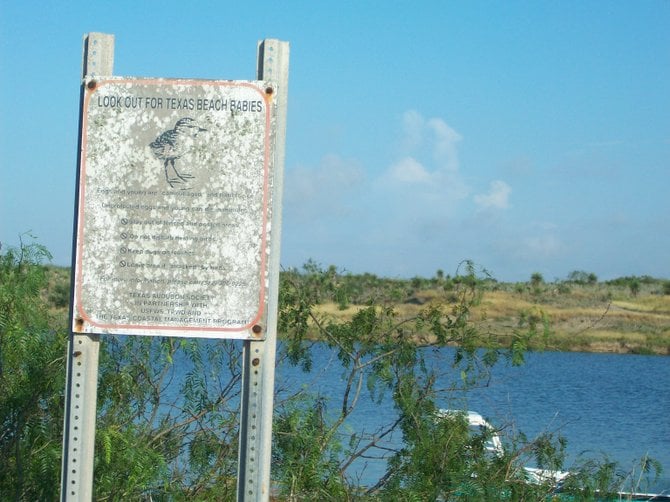 Texas Beach Babies warning sign along Arroyo River.