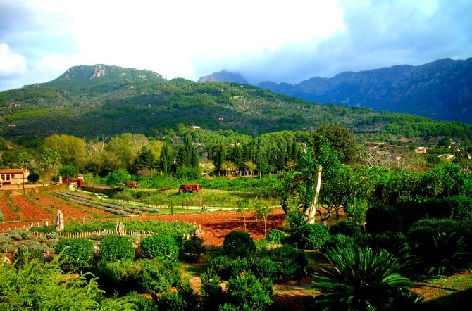 The Sierra de Tramuntana Mountains of Palma de Majorca - that invites hikers, climbers and charms every visitor.