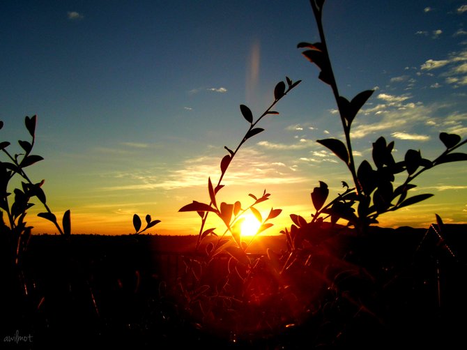 Sunset from Sky Ranch 
El Cajon 
Ca.

Audrey Wilmot