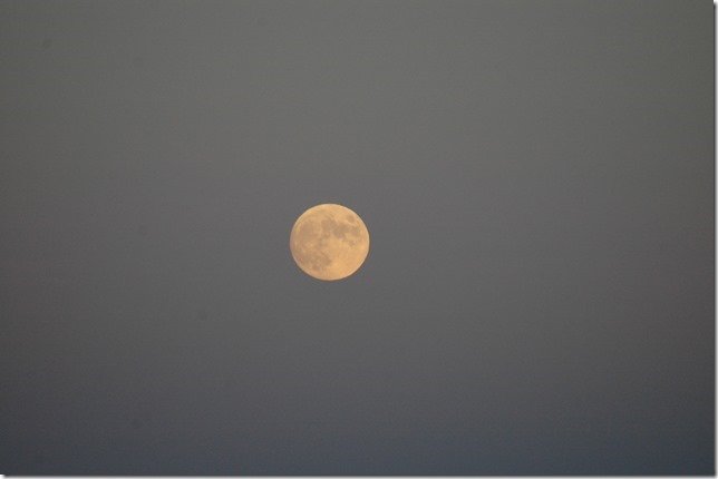 full moon, santee, ca