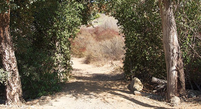 After the arch, the Highland Valley Trail travels east along the grasslands near the south shore of Lake Hodges.