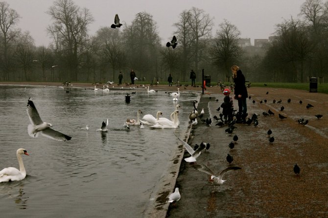 Hyde Park. London, England. 