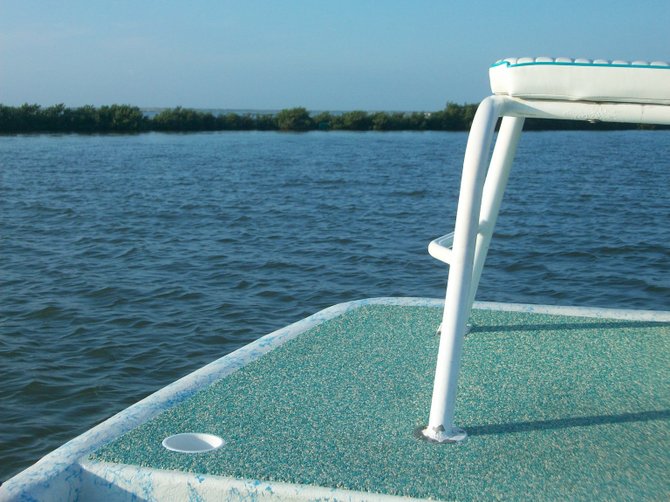 View from the boat on the Arroyo River Eco-Cruise near South Padre Island, Texas.