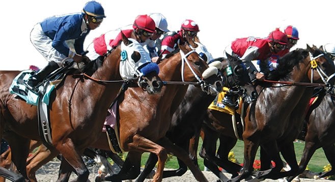 Del Mar’s legally required charity donations totaled $155,665. It all went to racing-related charities.
