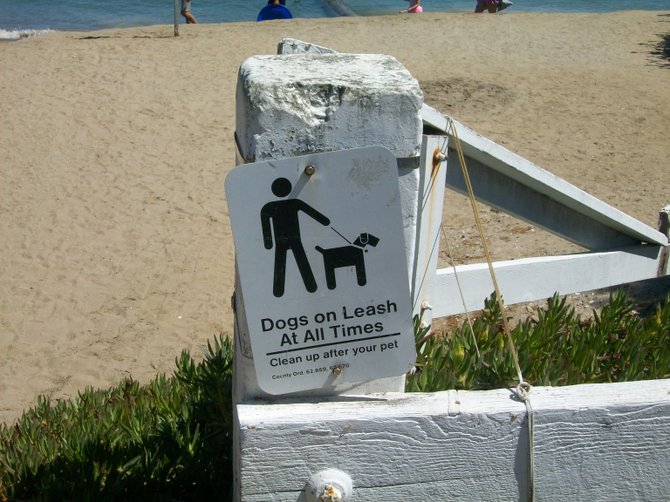 Reminder to dog owners at Kellogg Beach in Point Loma.