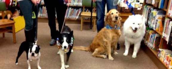Dogs at the library
