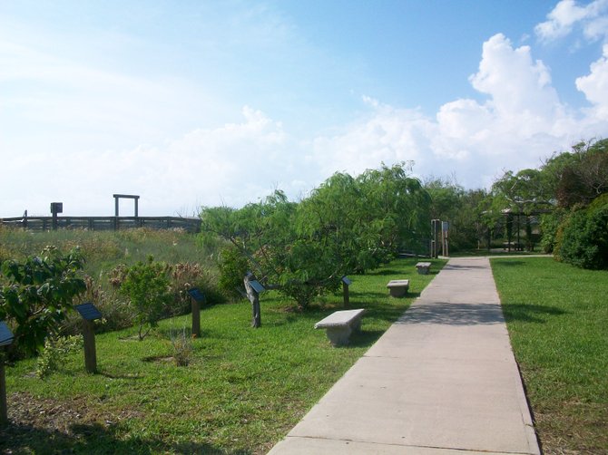 Laguna Madre Nature Trail with shrubs and flowers planted at attract birds & butterflies. 