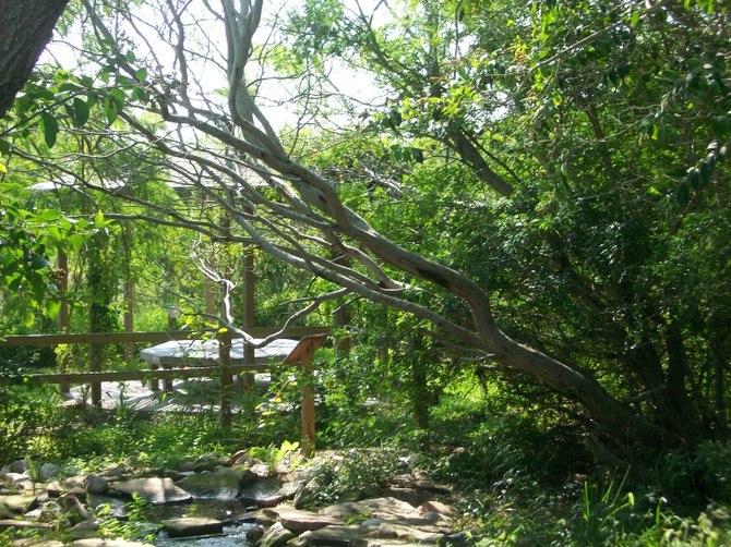 Laguna Madre Nature Trail in South Padre Island, Texas.