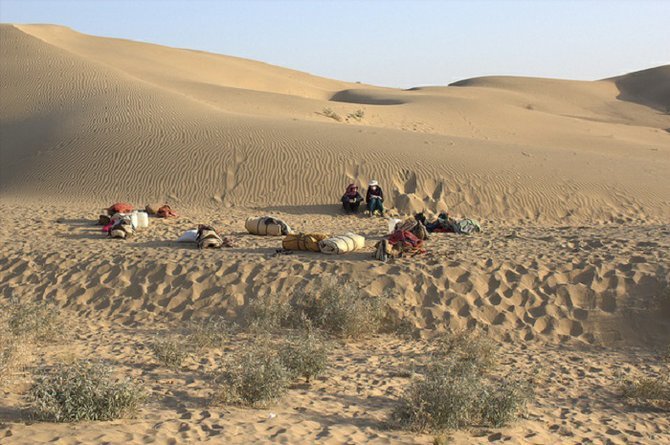 Thar Desert camping. 