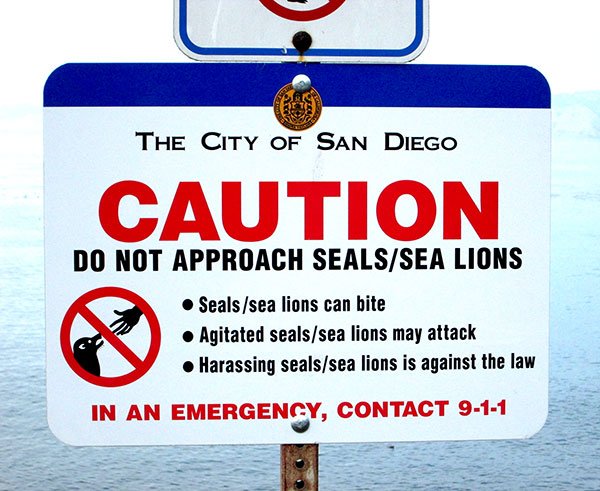 This sign posted at the new gate to the previously fenced-off bluffs above the Cove that sea lions frequent. Many swimmers hope that the presence of people on the bluffs will reduce the sea lion population.