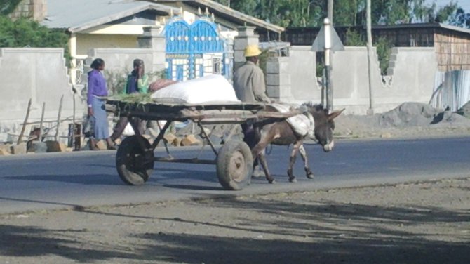Transport by horse (or donkey) and cart is still common here. 