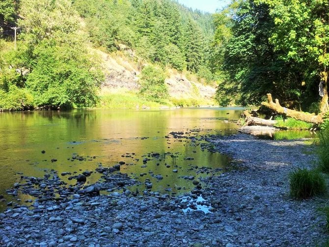 I took this on a beautiful summer day on the Columbia River, in Washington state!