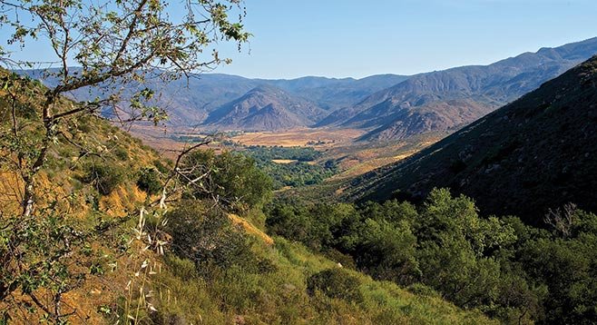 The trails leads in and out of riparian forests hugging Santa Ysabel creek and its tributaries.
