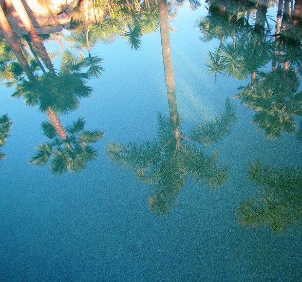 Pool reflections