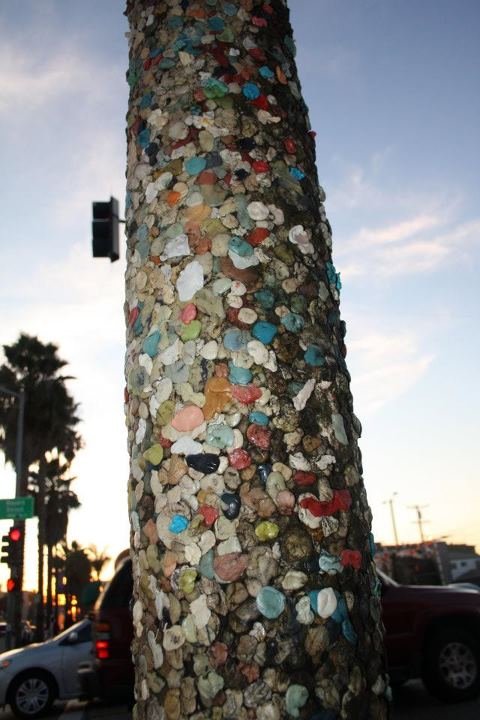 Walking down the streets in San Diego, only in Pacific Beach you see a whole telephone pole wrapped in peoples used bubble gum! Many years of bubble gum!

Johnny Jones
858-204-0348
backspace93@gmail.com 