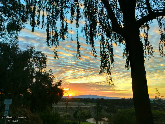 Balboa Park Sunrise