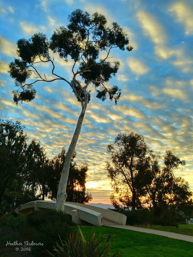 Balboa Park Sunrise