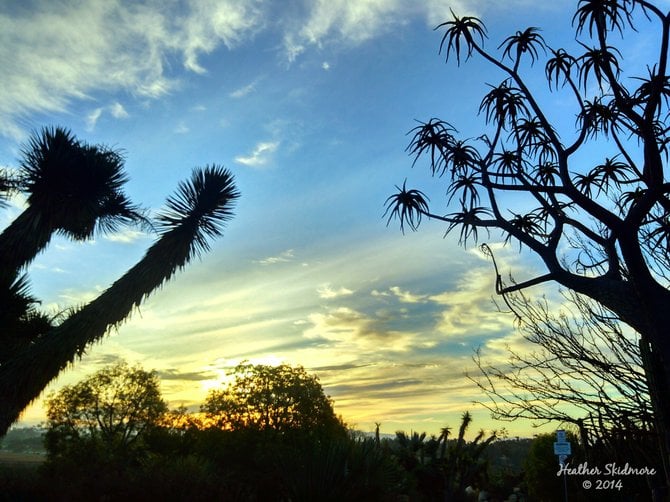 Balboa Park Sunrise