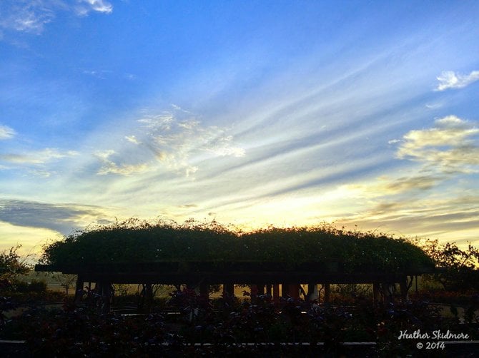 Balboa Park Sunrise