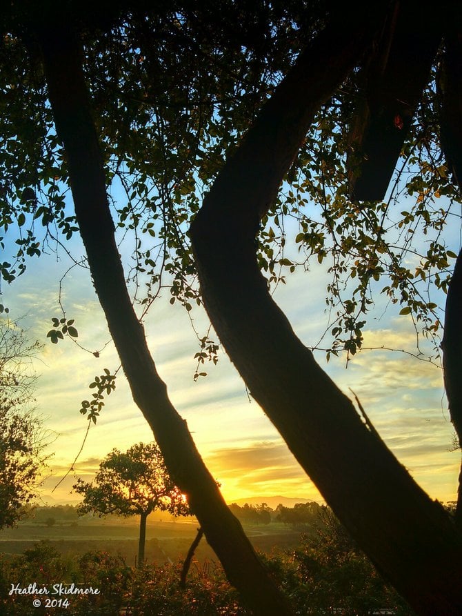 Balboa Park Sunrise