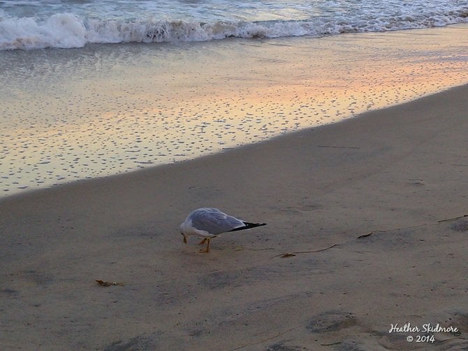 Pacific Beach Sunrise