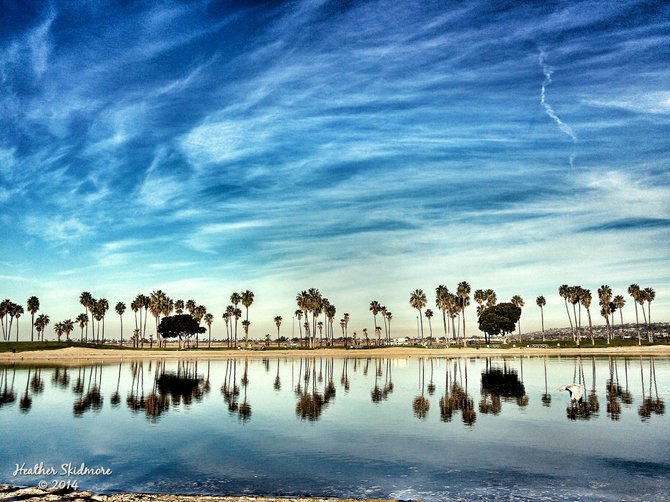 Mission Bay Park