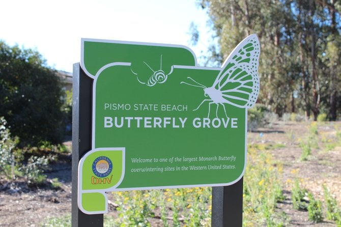 Butterfly Grove