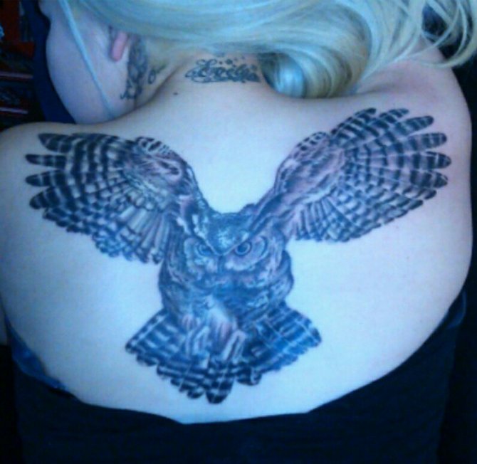 Owls have binocular vision, keen hearing, and feathers adapted for silent flight. Also a sharp beak and powerful talons that allow it to catch prey before swallowing whole. A owl is a predator and survivor, when I got this tattooed I found myself in a position where I needed to be a survivor using the skills I had to get to where I needed to go.  It will forever be my inspiration to keep fighting to survive this mean world. The artist is Gerardo "Harry" Flores who works at Hidden City Tattoo, my tattoo guy. Tattoos are FOREVER... -Elaine from upper county SD Escondido