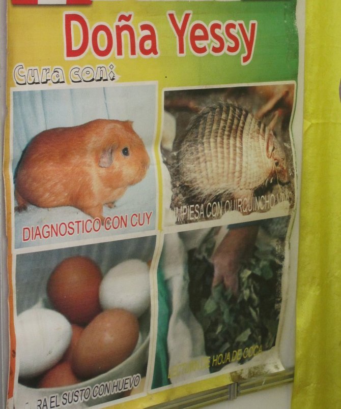 Doña‎ Yessy's curandero advertisement.