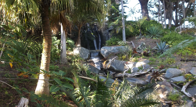 Waterfall behind tropical foliage in the San Diego Botanic Garden. 