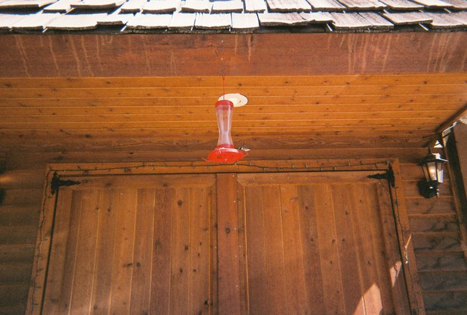 Hummingbirds flock to the feeders put out in front of Wallace, Idaho general store.