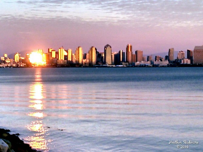 Downtown from Harbor Island