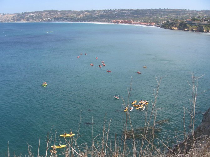 Kayaks in the Cove - La Jolla Cove