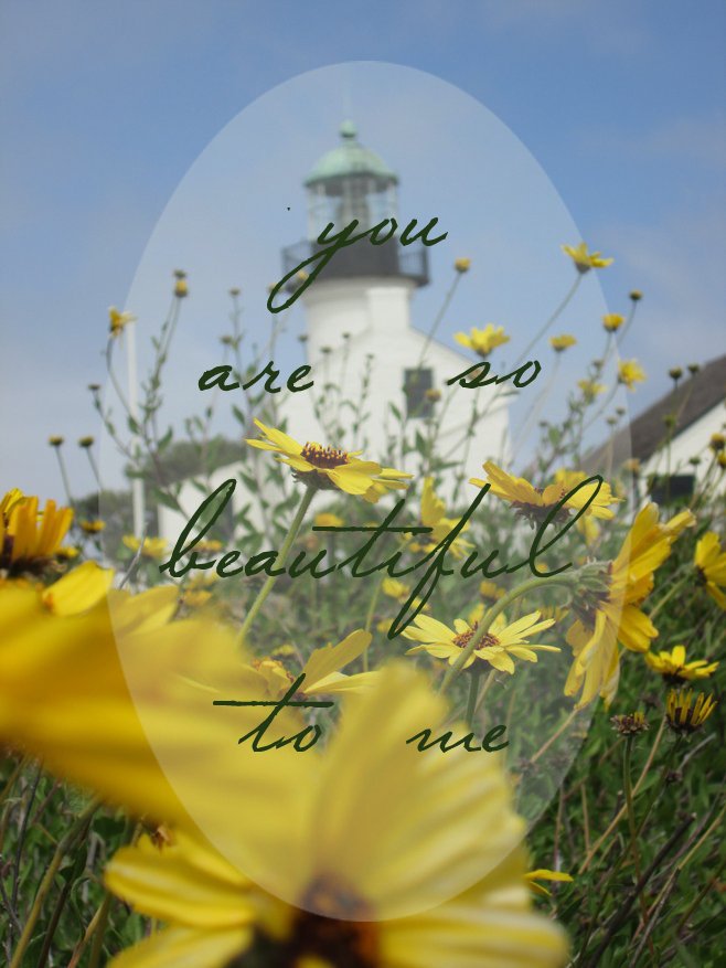 You are so beautiful to me | Point Loma, San Diego. 
Original photo by Cameron Pettit.