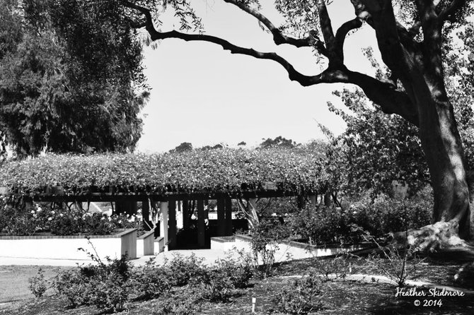 Balboa Park Afternoon