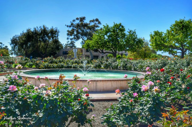 Balboa Park Afternoon