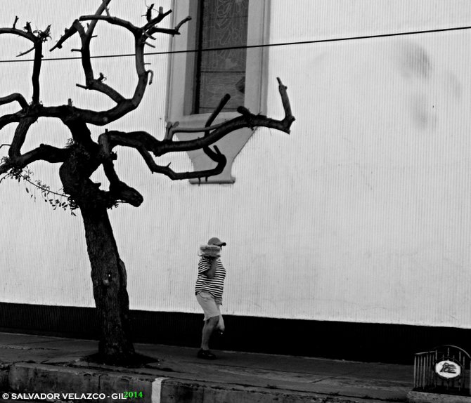 Neighborhood Photos
TIJUANA,BAJA CALIFORNIA
Lady and tree in front of Church in Tijuana / Dama y arbol a un costado de Iglesia en Tijuana.