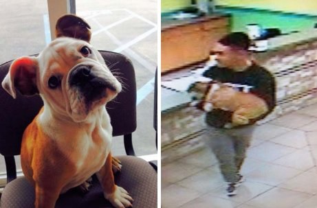 Schroeder and his suspected dognapper. Photo: San Diego County Crime Stoppers