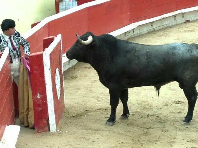 Bullfights Tijuana Mexico