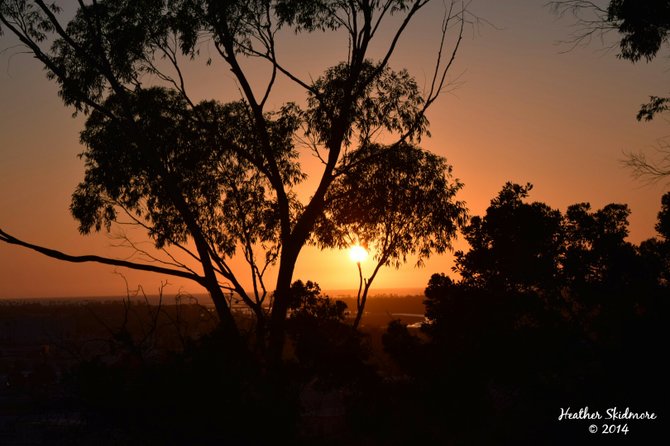 Presidio Park Sunset