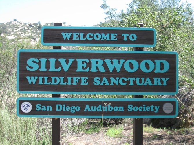 Welcome to Silverwood Sanctuary