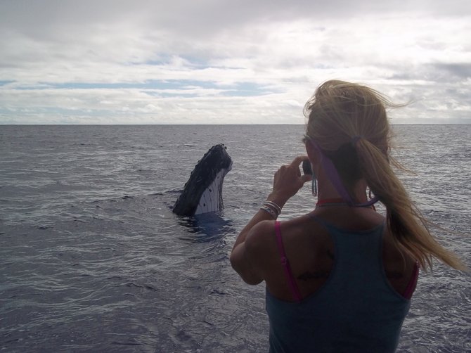 Field Spotlight: Nan Hauser. This film highlights Nan Hauser, a marine biologist and Conservation International Marine Fellow who studies whales and dolphins
