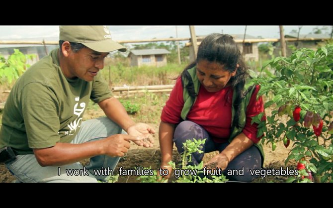From the film Reynaldo. Reynaldo, who lives in the Amazon Rainforest, has learned how  to farm in balance with the forest, and now travels all over the region helping others to do the same.