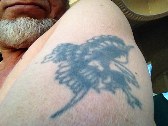 This is what a tat looks like after being on my skin for fifty years. I got it when I was sixteen in 1964. A buddy of mine, a major whack-job and I drove down to Long Island New York from our little New England village in Connecticut one Friday evening determined to get tattooed. The trip to NY was necessary because CT didn't allow tattooing at the time. So, it was either Providence, Rhode Island or NY. A two six pack drive later we arrived at our destination, a tattoo "parlor", squeeky clean with the artists and techs dressed in white. I selected this eagle from an array on the wall. My buddy decided to get two tats that night, one on each arm. This was the rebellious thing to do in those days and my showing up with it at high school started the tongues to wagging. I've been in Southern Cal forty four years now, the last twenty eight in Fallbrook. I had a successful career despite the "bad boy" past and wouldn't change anything. The right arm has two tats - one received in downtown L.A. and the other on the Long Beach Pike when that existed.