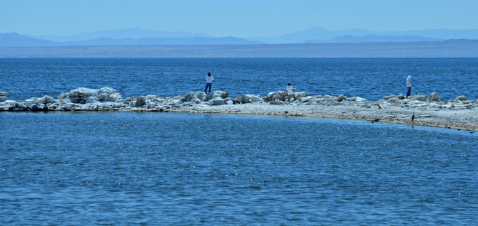 The Salton Sea with it's hidden beauty.  Fishing is very popular this time of year near North Shore.  I have seen so many families fishing along Hwy 111 that I'm wanting to buy my license and join them.  